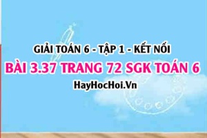 Giải bài 3.37 trang 72 Toán 6 Tập 1 SGK Kết nối tri thức